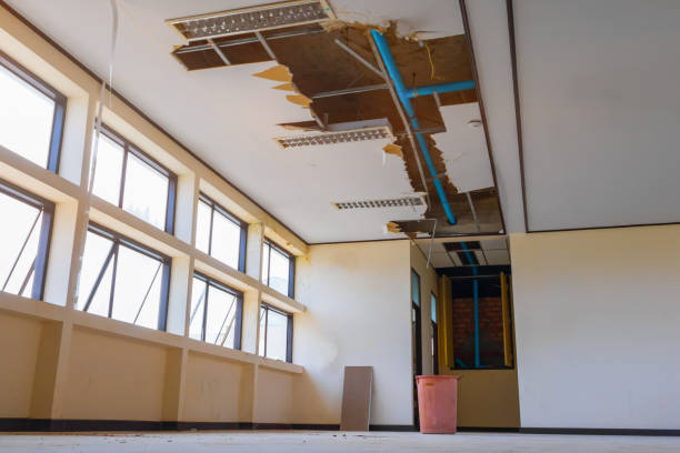 Best Water damage cleanup near me  in Watertown Town, MA