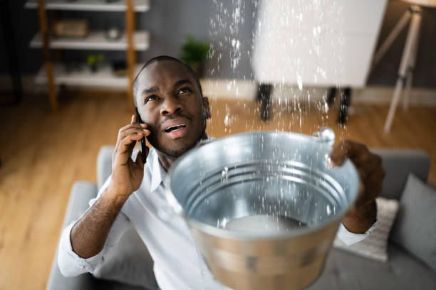 Best Water damage restoration company  in Watertown Town, MA