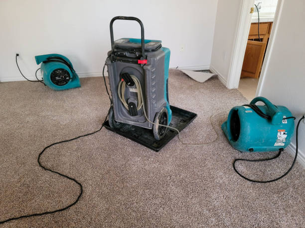 Reliable Watertown Town, MA Water damage restoration Solutions