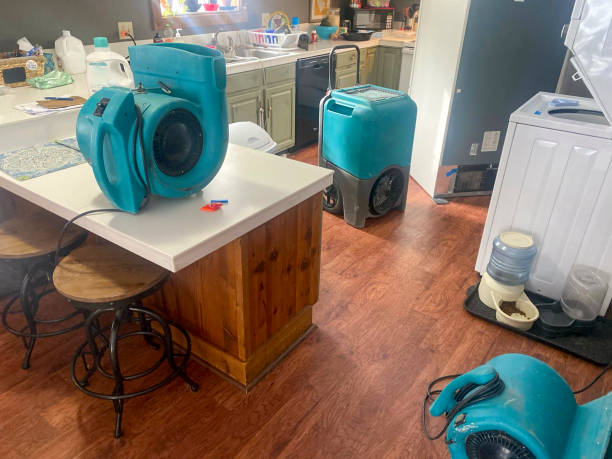 Best Flooded house restoration  in Watertown Town, MA