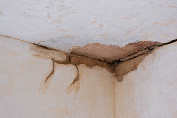 Best Water damage restoration experts  in Watertown Town, MA