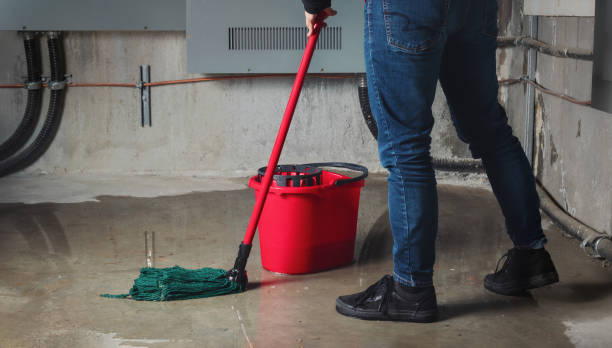 Best Ceiling water damage repair  in Watertown Town, MA