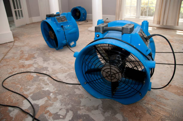 Water damage restoration experts in Watertown Town, MA