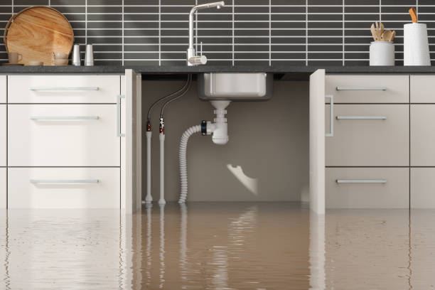 Best Water damage restoration near me  in Watertown Town, MA