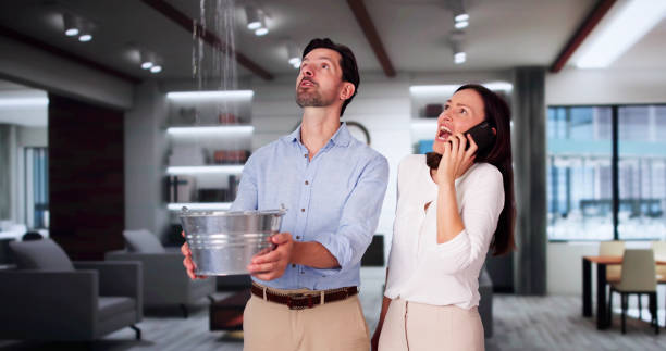 Best 24-hour water damage restoration  in Watertown Town, MA
